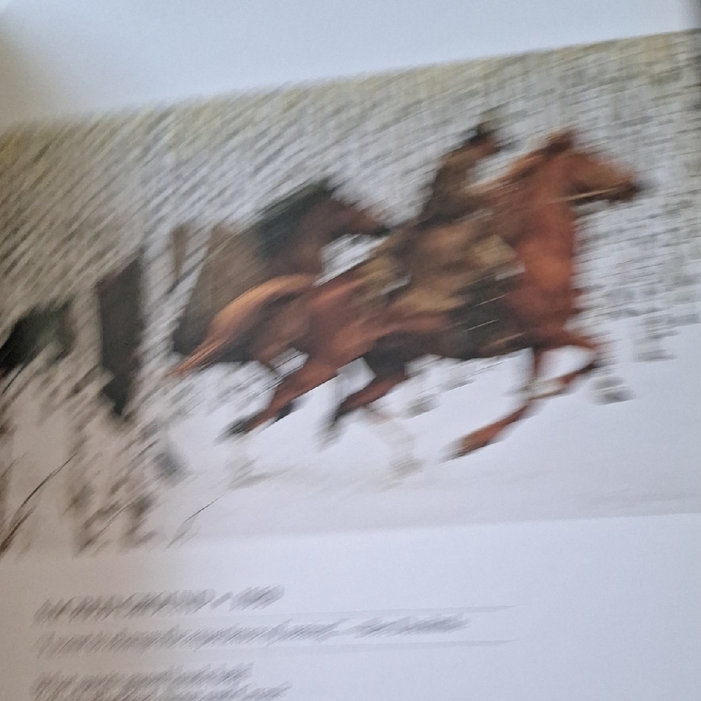 The Art of Bev Doolittle - Picture 9 of 16